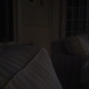 Meet your Posher, Molly